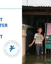 Post-Disaster Needs Assessment_PowerPoint