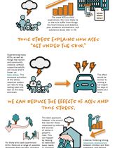 Trauma Informed Infographic ...